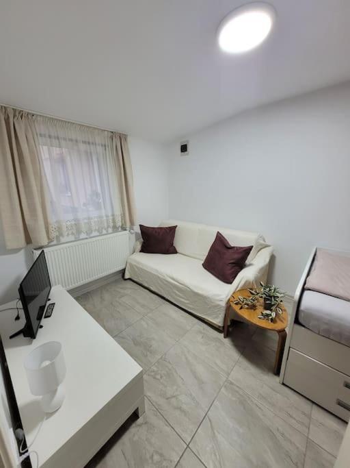 Studio Sibiu Luaran gambar