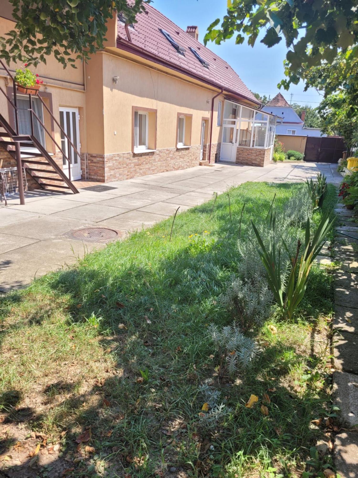 Studio Sibiu Bilik gambar